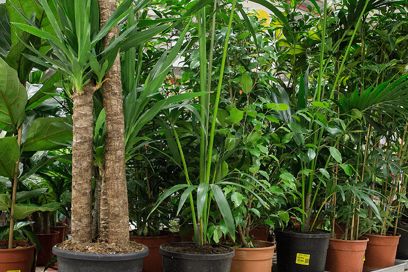 Un giardino firmato Coop