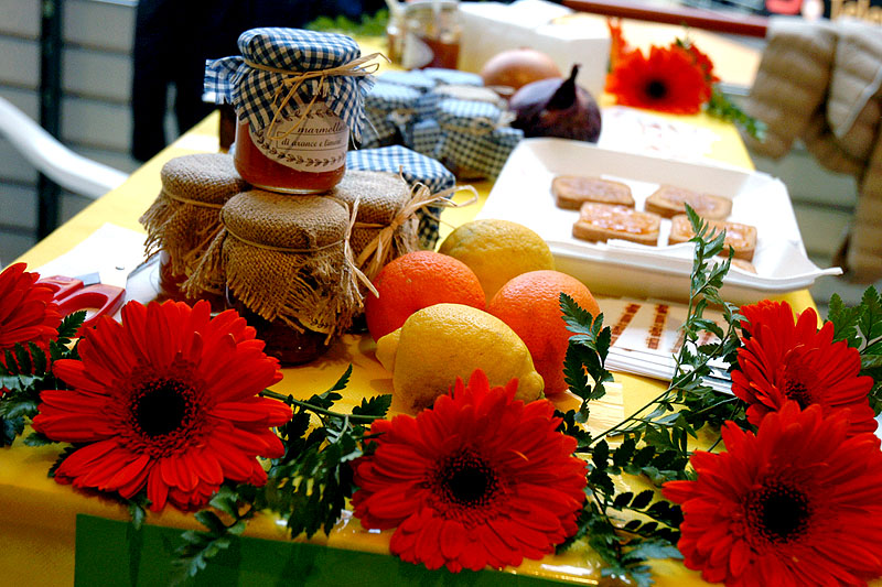 Students Lab, l'impresa si fa giovane