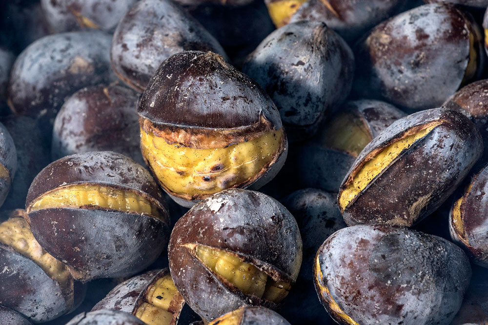 Alla Sagra del Gusto