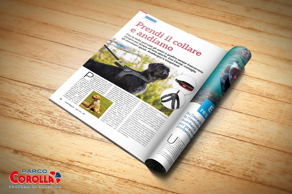 Prendi il collare e andiamo