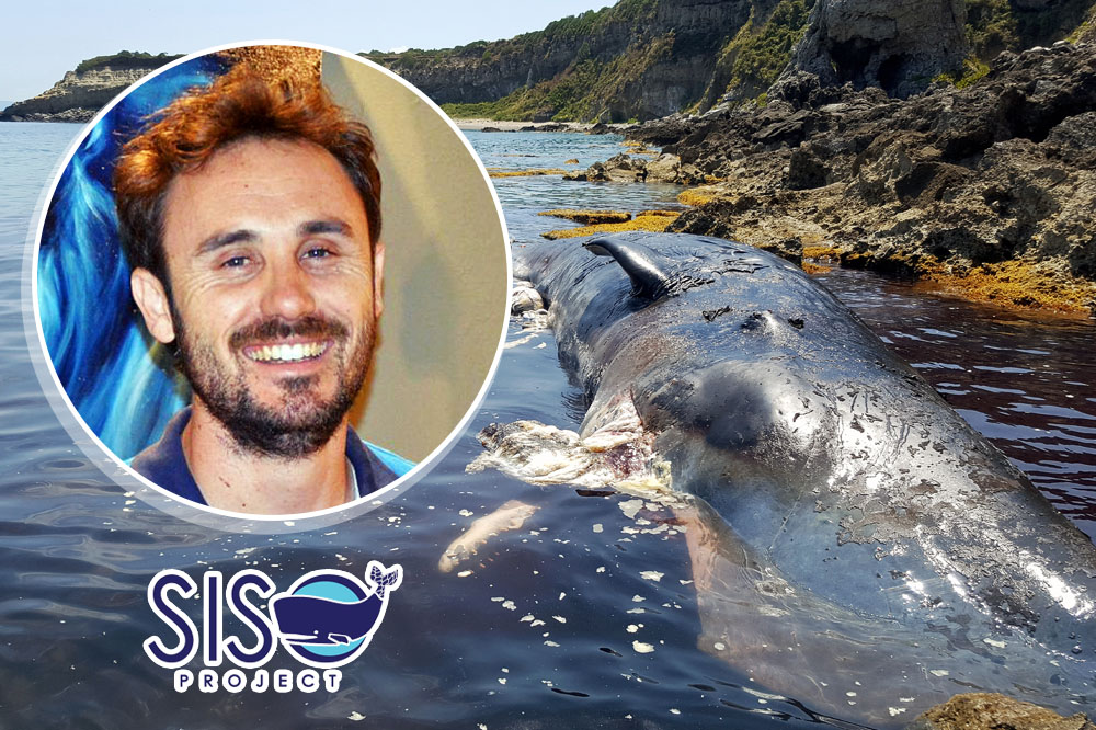 Anche Coop Alleanza sostiene Siso Project