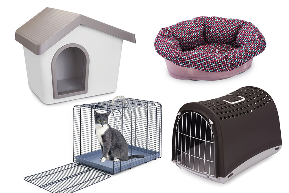 Trasporti a quattro zampe