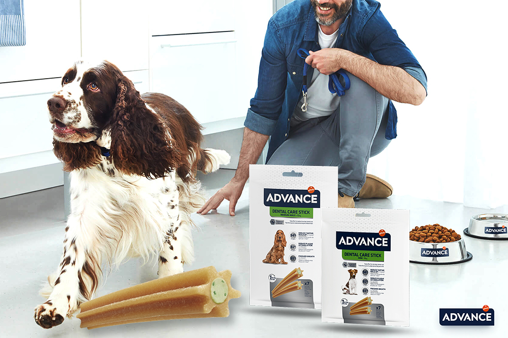 Mai più mal di denti