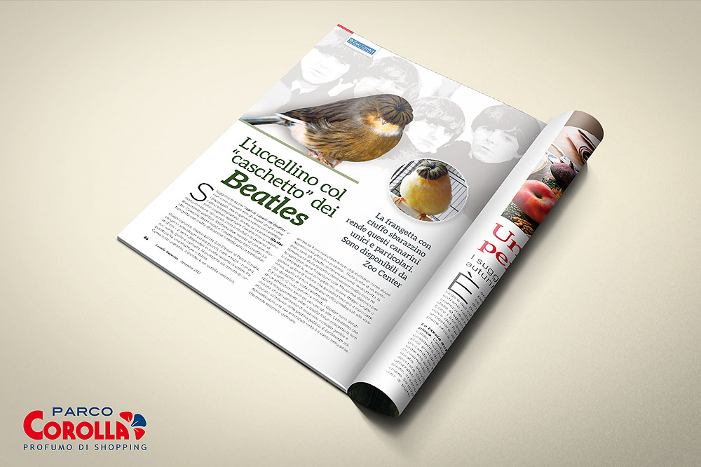 L’uccellino col caschetto dei Beatles