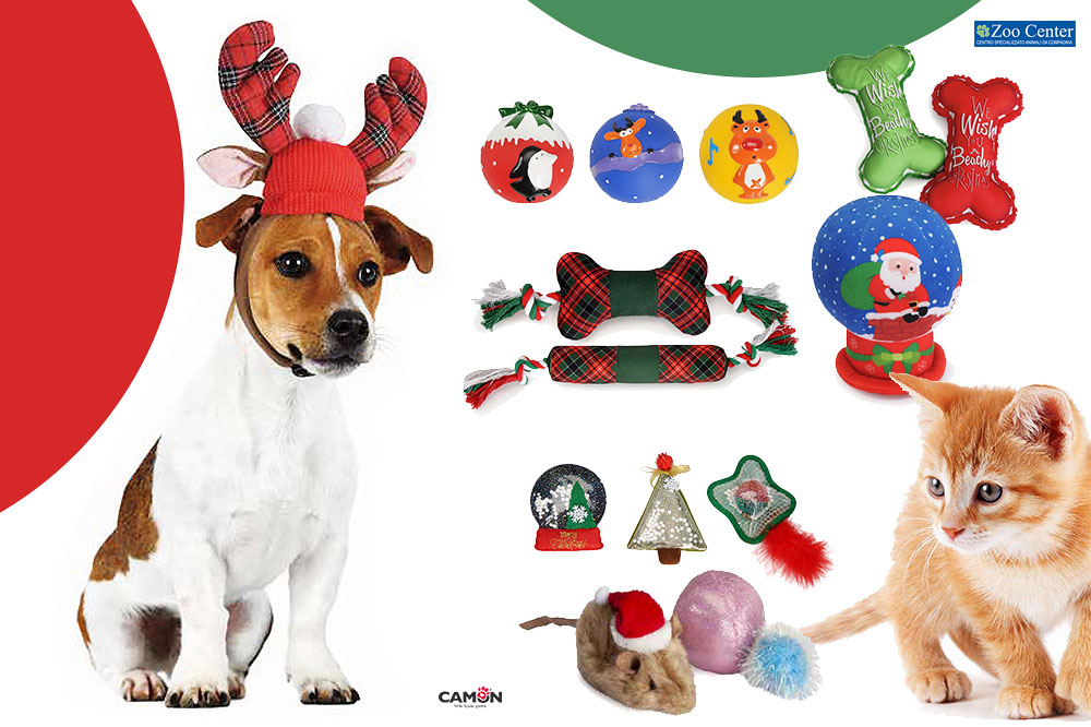 Ai nostri animali facciamo la... 'festa'