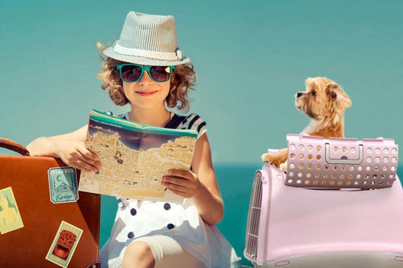 Trasporti a quattro zampe