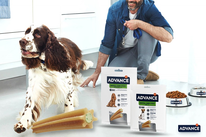 Mai più mal di denti