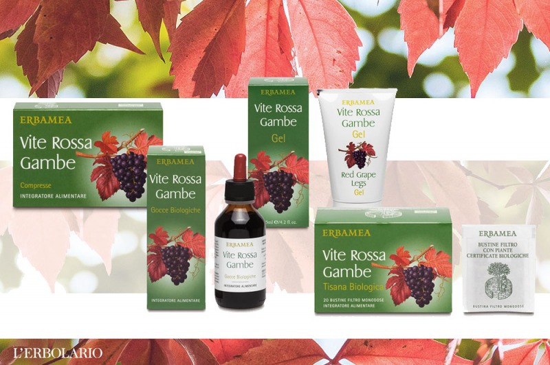 La salute delle gambe